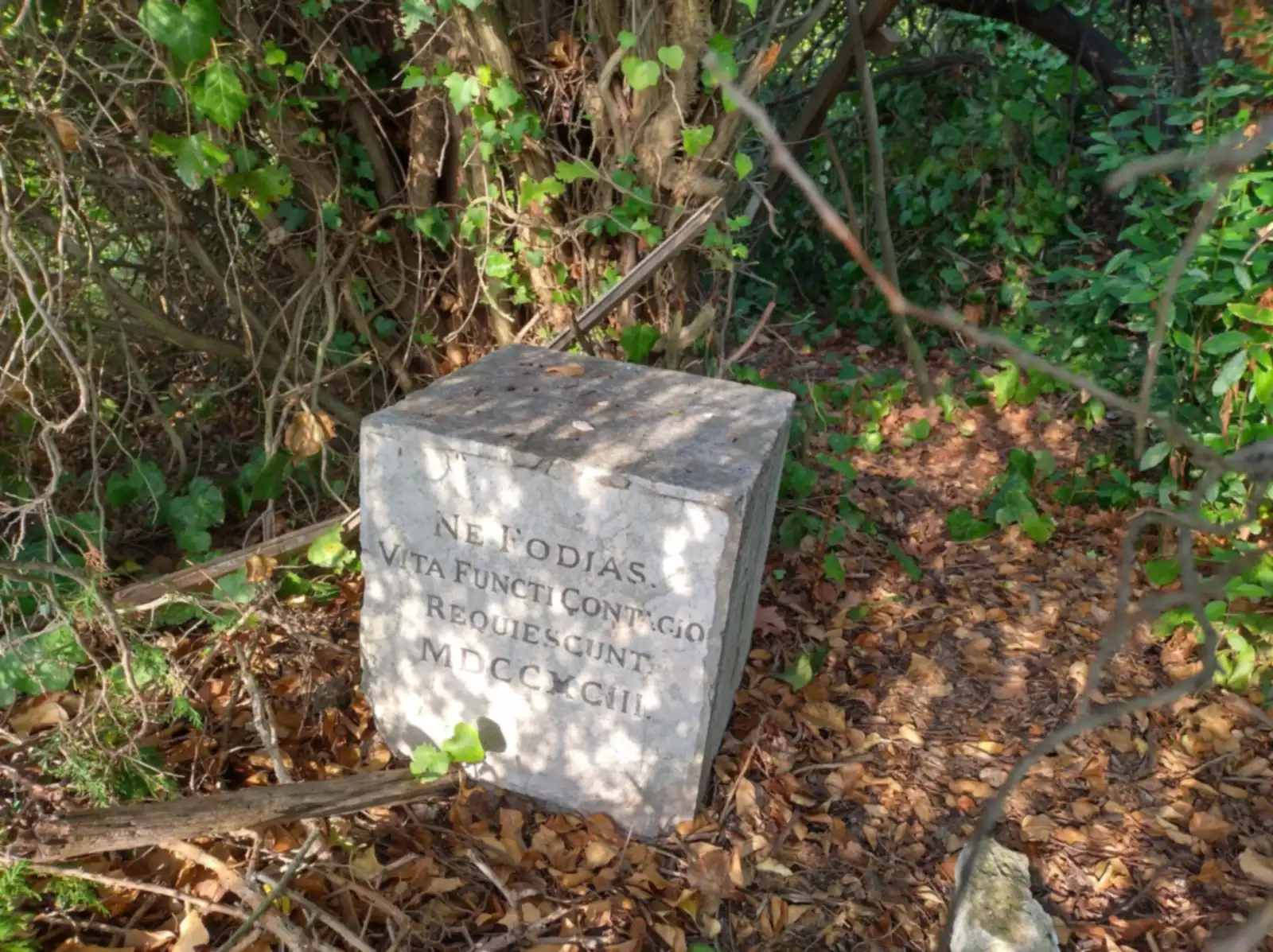 The Plague Stone of Poveglia